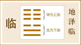 臨卦 工作|地澤臨卦如何占卜學業事業